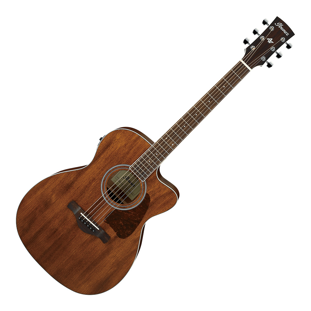 Ibanez アコースティックギター AC340-OPN 純正ソフトケース付 - ギター