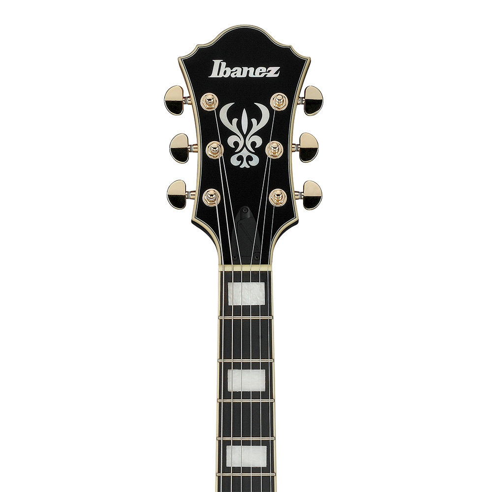 AF95FM | AF | HOLLOW BODIES | PRODUCTS | Ibanez guitars