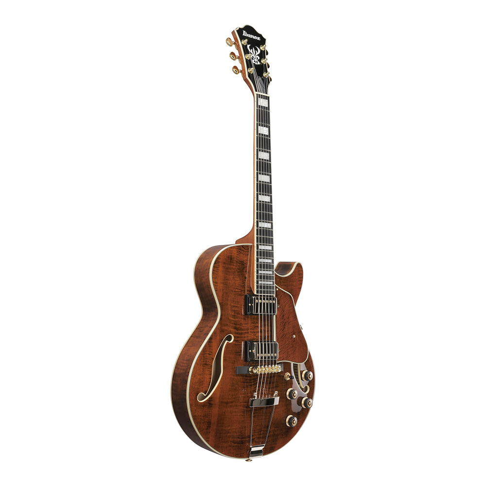 Ibanez AG Artcore Expressionist AG95MG-DA (Dark Amber