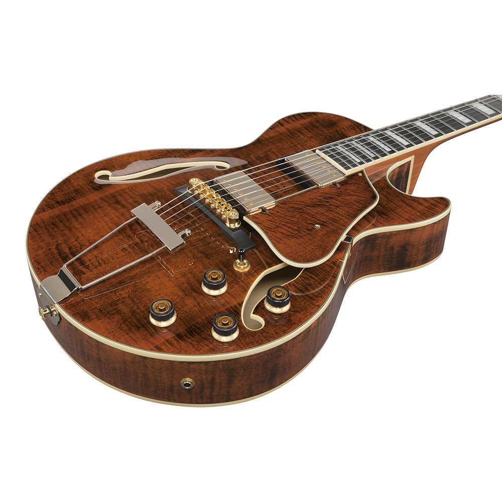 愛称板　あがの AGANO IBANEZのArtcore Expressionistシリーズに2モデルが新登場！