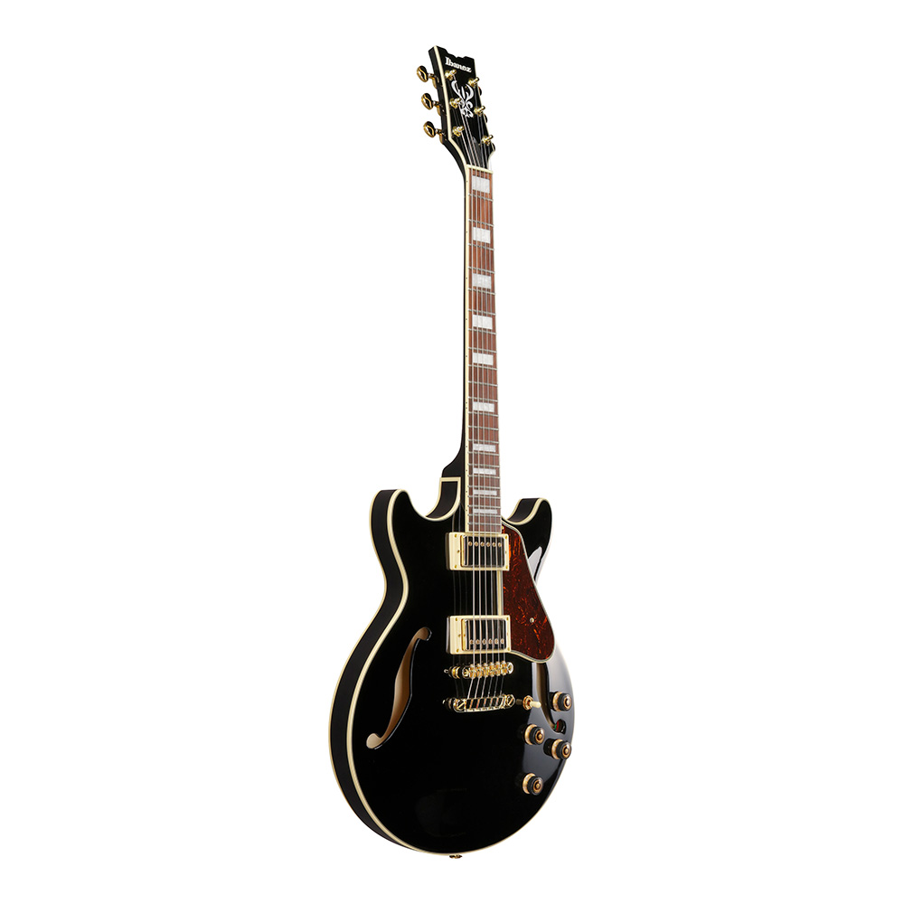 Ibanez AM Artcore AM73G-BK (Black)｜ミュージックランドKEY