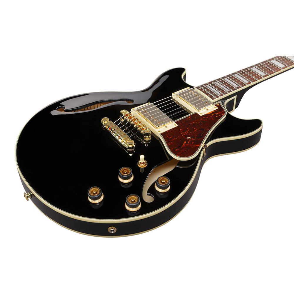 Ibanez AM Artcore AM73G-BK (Black)｜ミュージックランドKEY
