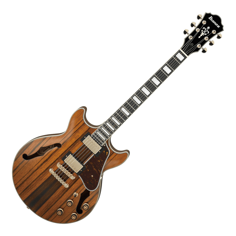 Ibanez AM Artcore Expressionist AM93ME-NT (Natural)｜ミュージック ...