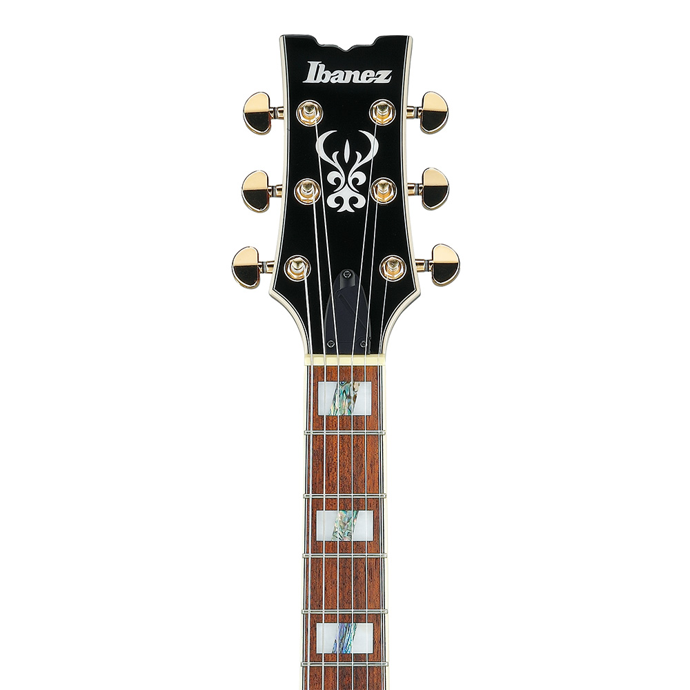 Ibanez AR Standard AR320-MBM (Midnight Black Metallic