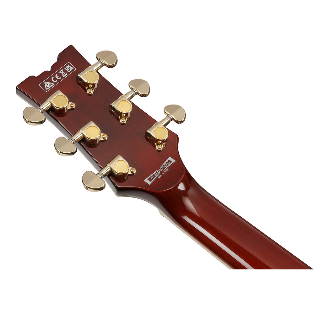 Ibanez AR Standard AR320-MBM (Midnight Black Metallic