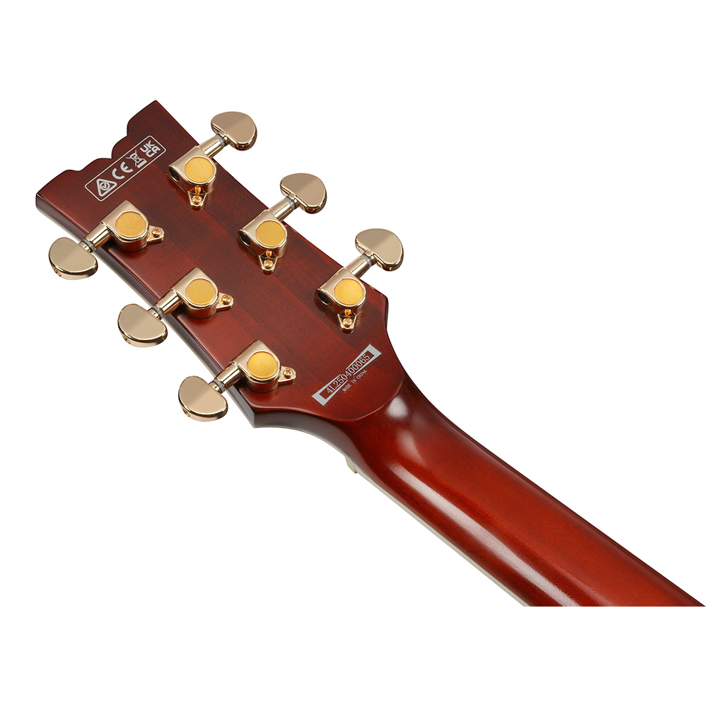 Ibanez AR Standard AR625FMSP-CML (Caramel Burst Low Gloss