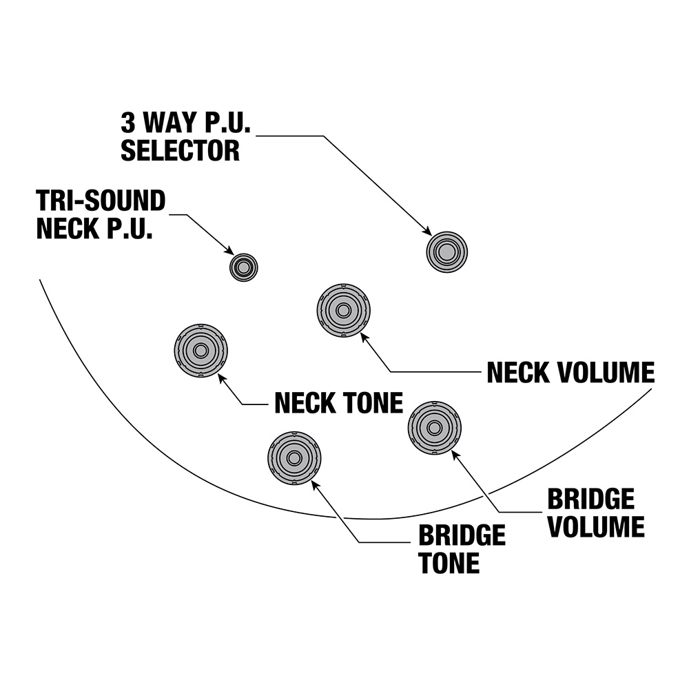 Ibanez AS ARTSTAR AS113-BS (Brown Sunburst)｜ミュージックランドKEY