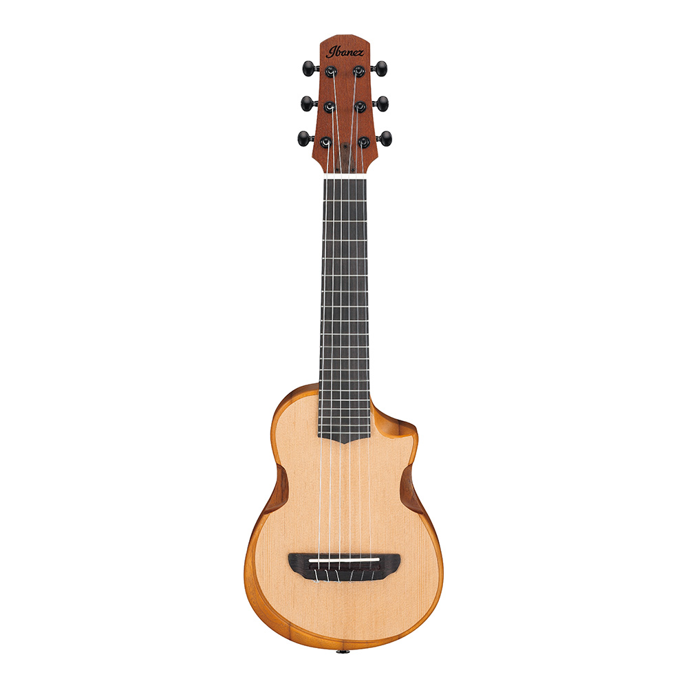 Ibanez AUP10N-OPN (Open Pore Natural)｜ミュージックランドKEY