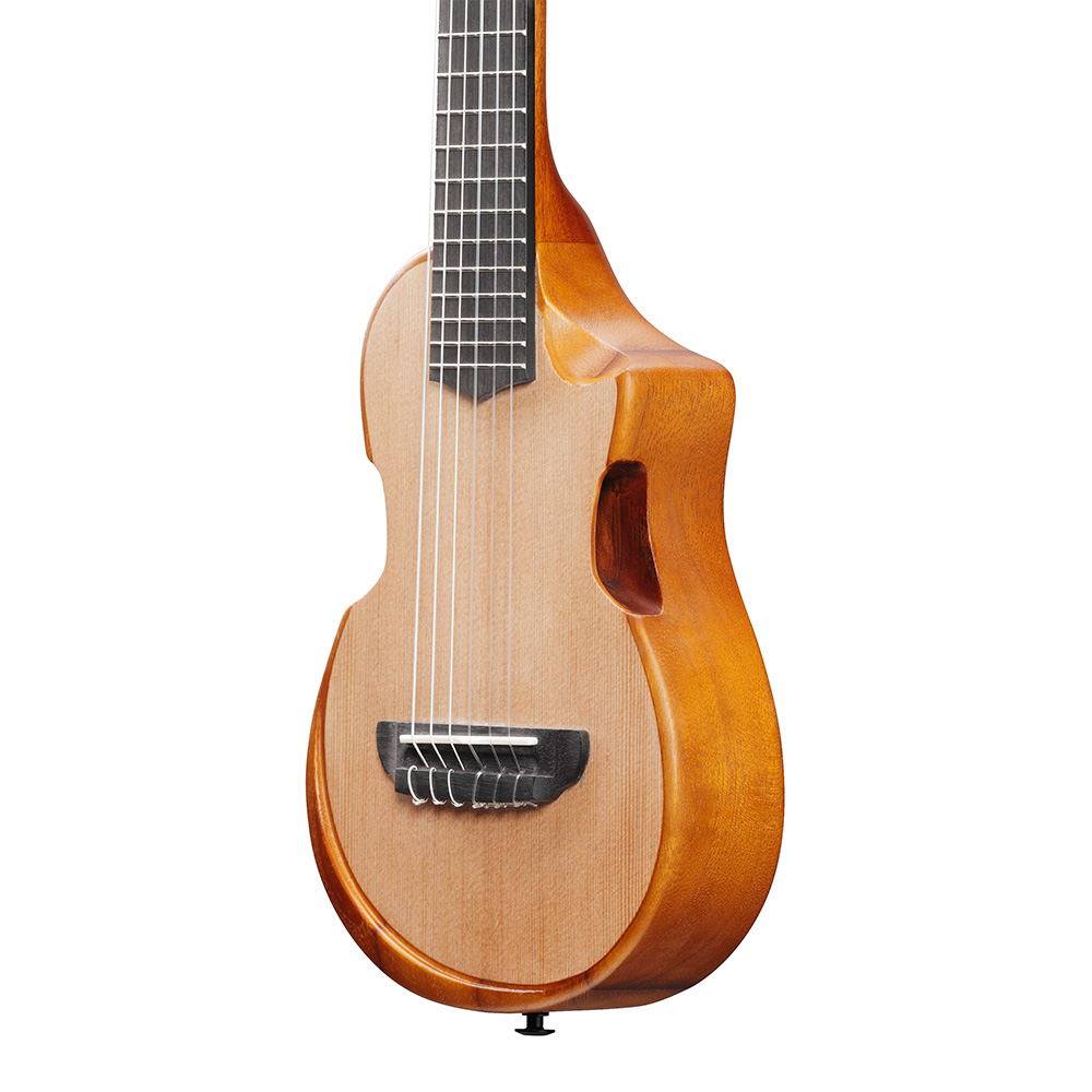 Ibanez AUP10N-OPN (Open Pore Natural)｜ミュージックランドKEY