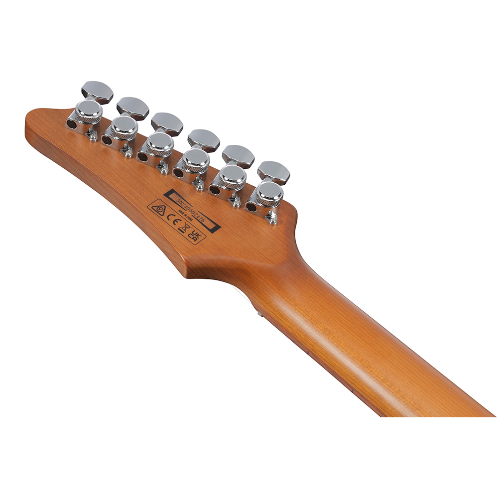 美品【トランスギター】IBANEZ AEG24-Ⅱ　単板、美しい虎目（値下げ中） 美品【トランスギター】IBANEZ AEG24-Ⅱ 単板、美しい虎目