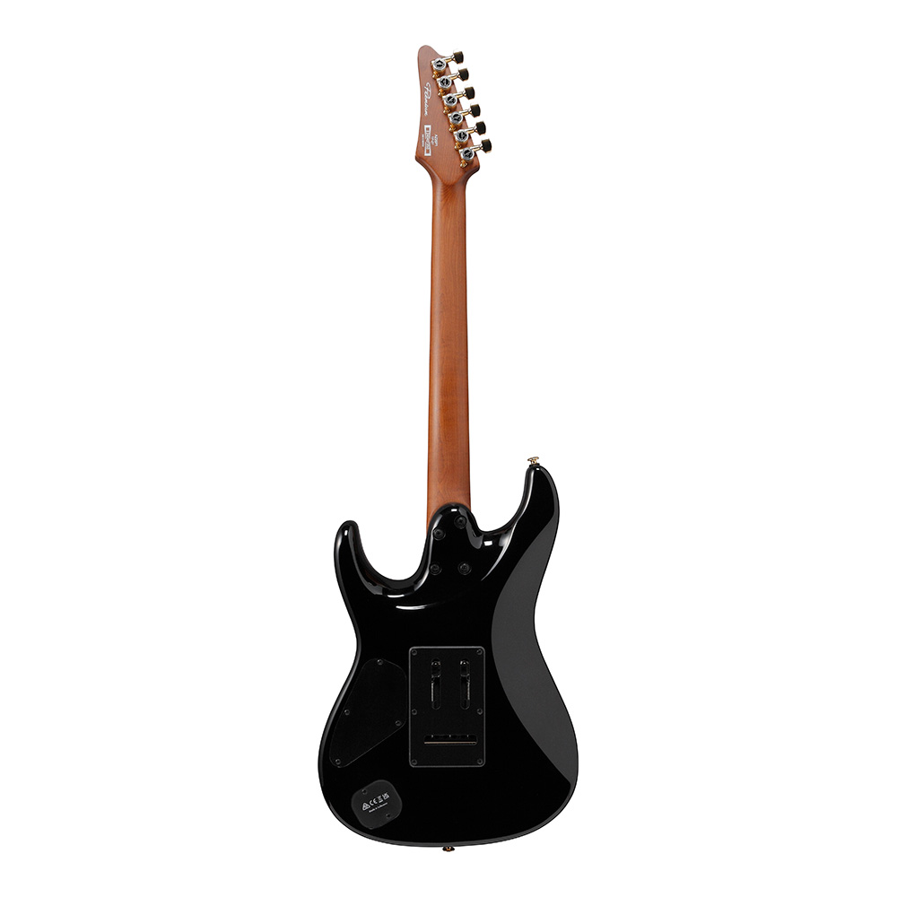 Ibanez アイバニーズ エレキギター ブラック Ibanez RG421EX BKF (Black Flat) エレキギター初心者14点セット