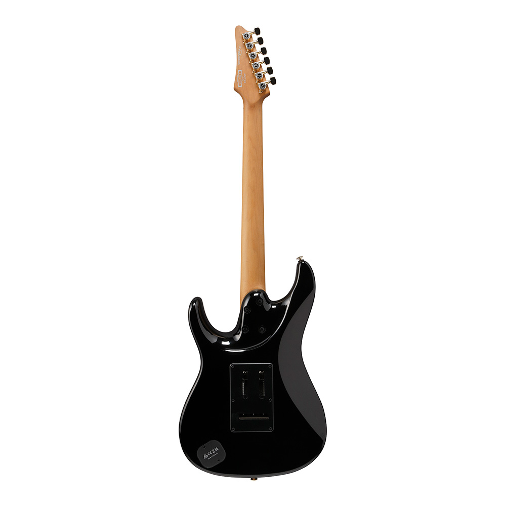 Ibanez AZ premium AZ41P1EW-NGT (Natural Gray Burst)｜ミュージック