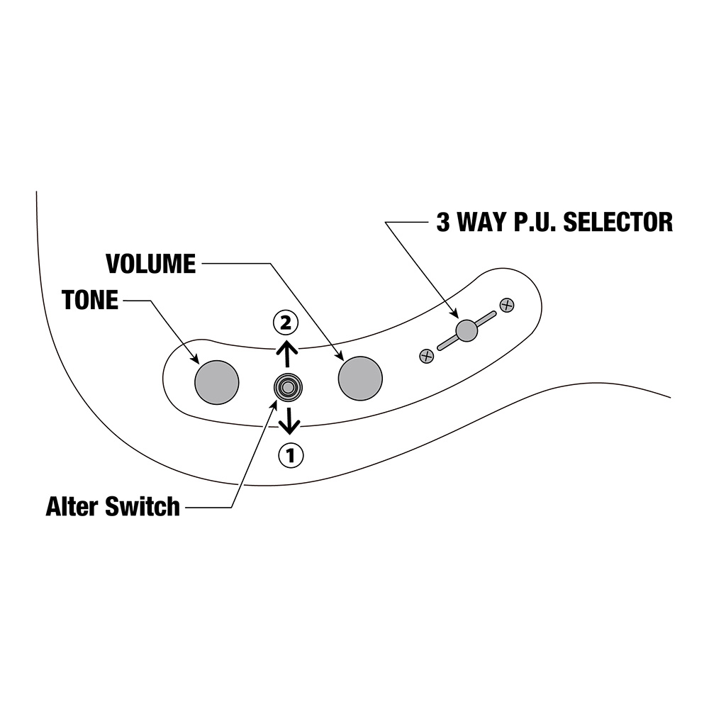 Ibanez AZS Prestige AZS2209-ATQ (Antique Turquoise)｜ミュージック