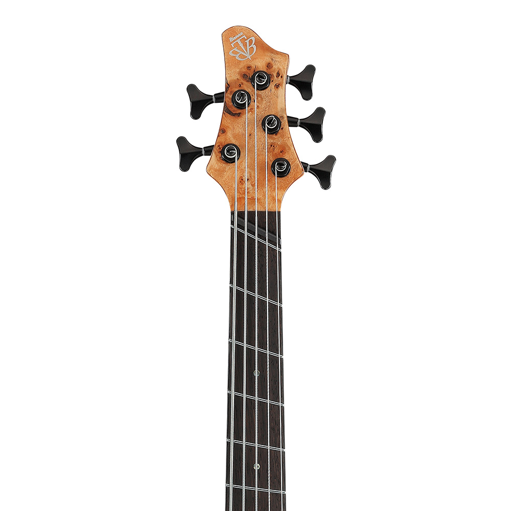 ベース Ibanez BTB805ms BTB805MS | BTB | ELECTRIC BASSES | PRODUCTS | Ibanez guitars