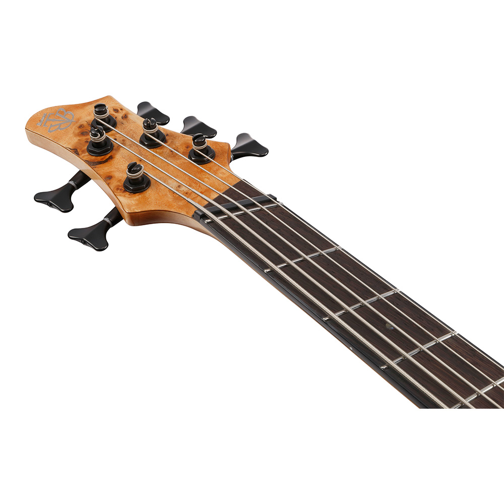 ベース Ibanez BTB805ms BTB805MS | BTB | ELECTRIC BASSES | PRODUCTS | Ibanez guitars