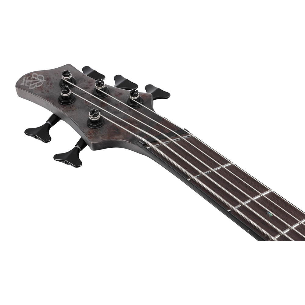 Ibanez BTB Workshop BTB805MS-TGF (Transparent Gray Flat