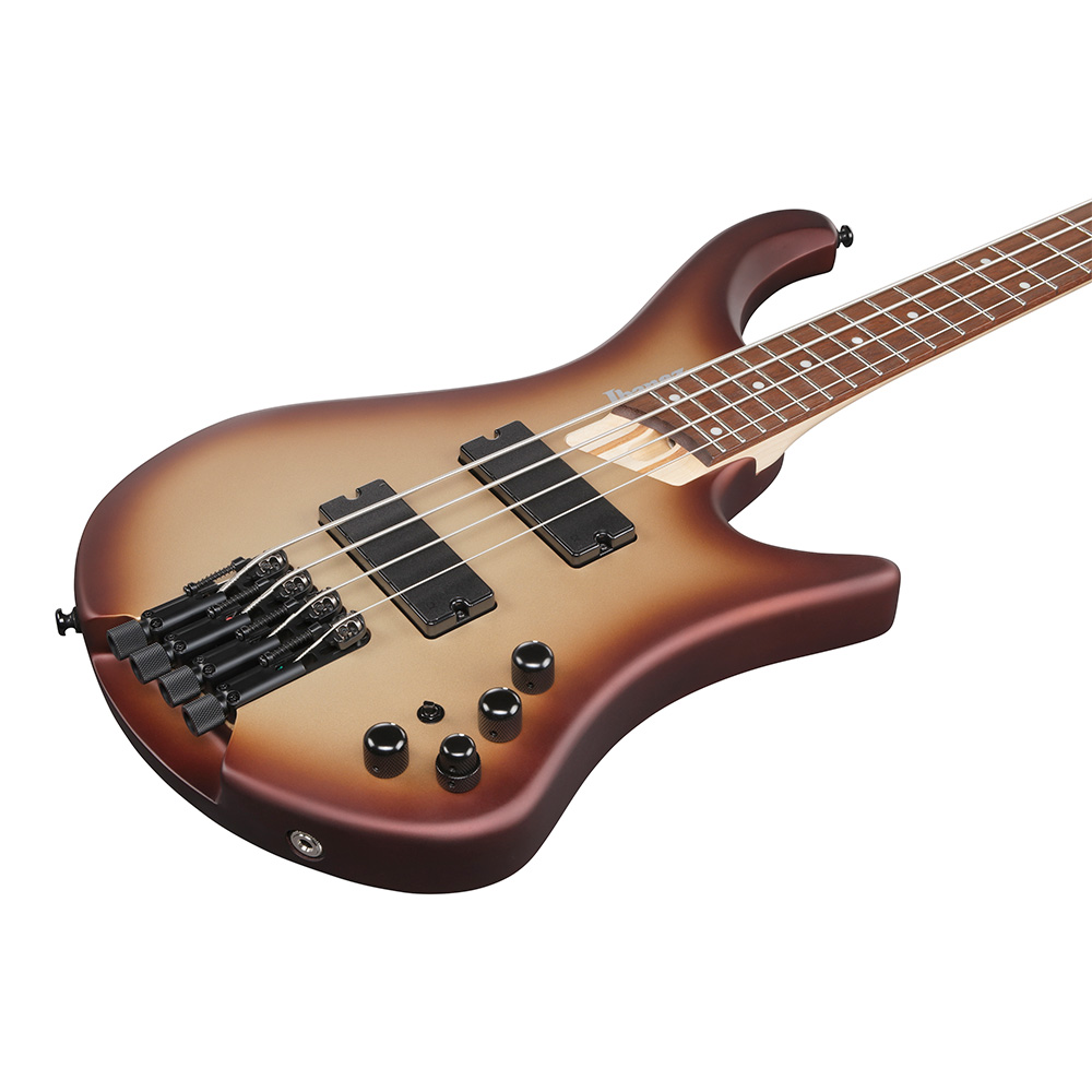 Ibanez EHB Workshop EHB600-CCM (Charred Champagne Burst Matte