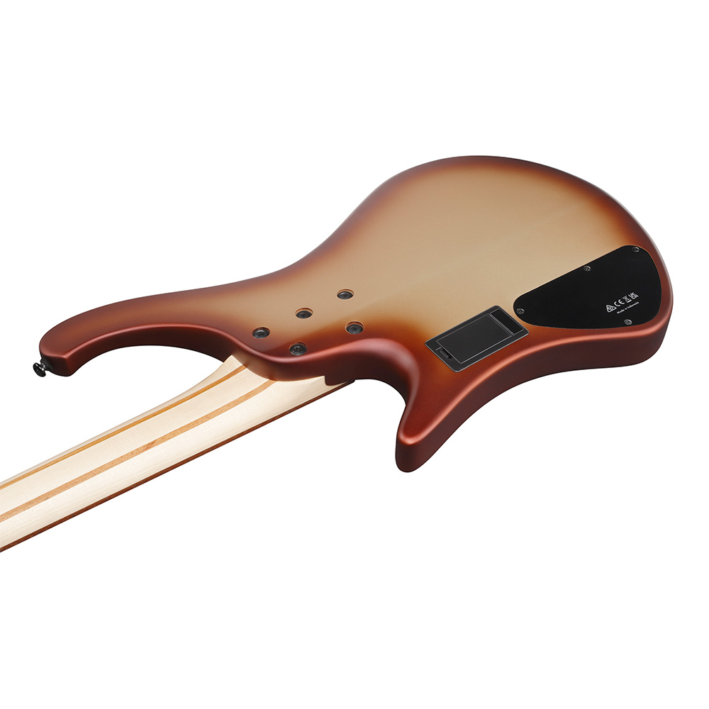 Ibanez EHB Workshop EHB600-CCM (Charred Champagne Burst Matte