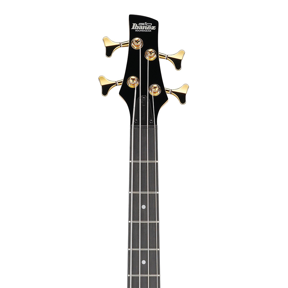 Ibanez Gio GSR200PC-TMU (Transparent Marine Burst