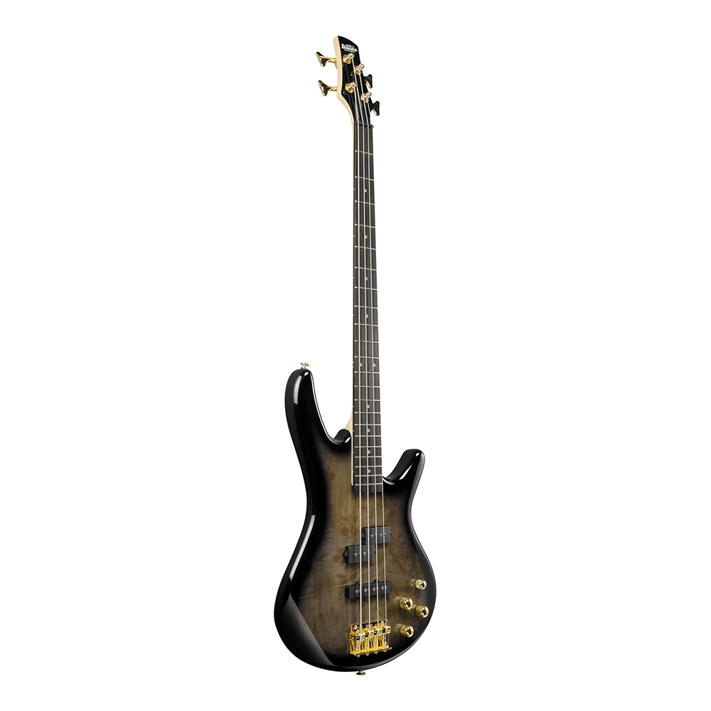Ibanez Gio GSR200PC-TPB (Transparent Pale Black Burst