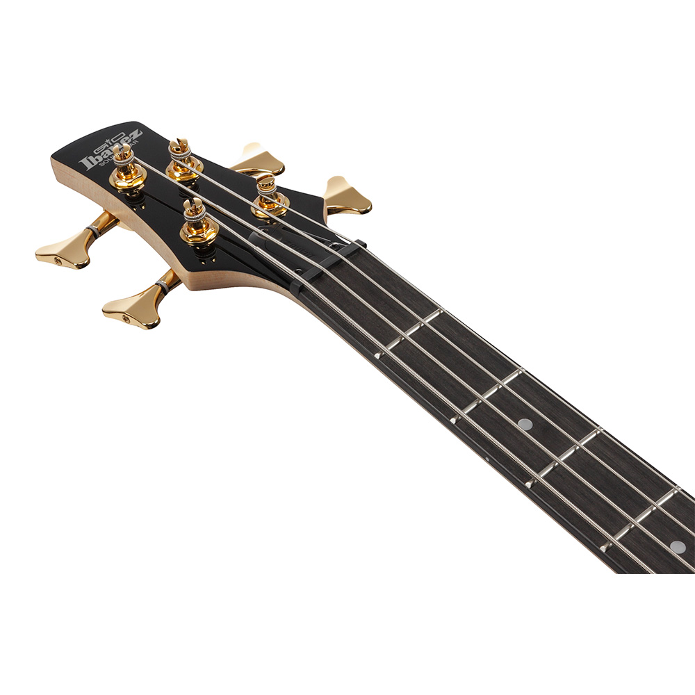 Ibanez Gio GSR200PC-TPB (Transparent Pale Black Burst