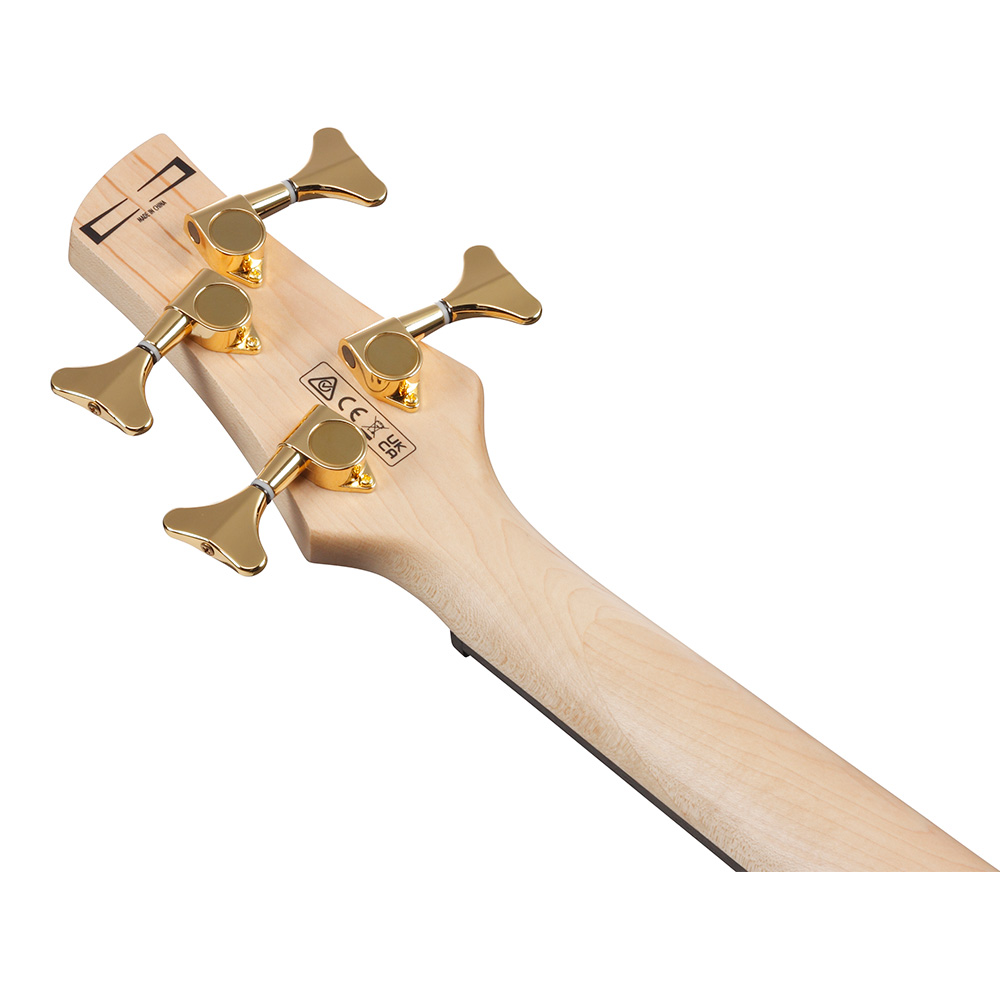 希少 Ibanez GIO GAX50 ゴールドパーツ仕様 Ibanez JS1GD [Joe Satriani Model] 【受注生産品】 ｜イケベ楽器店
