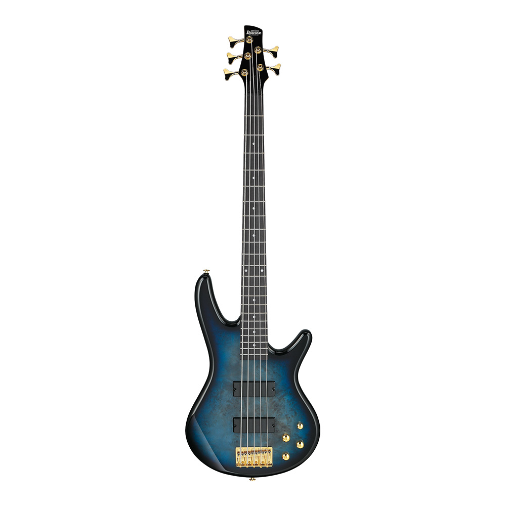 Ibanez Gio GSR205PC-TMU (Transparent Marine Burst