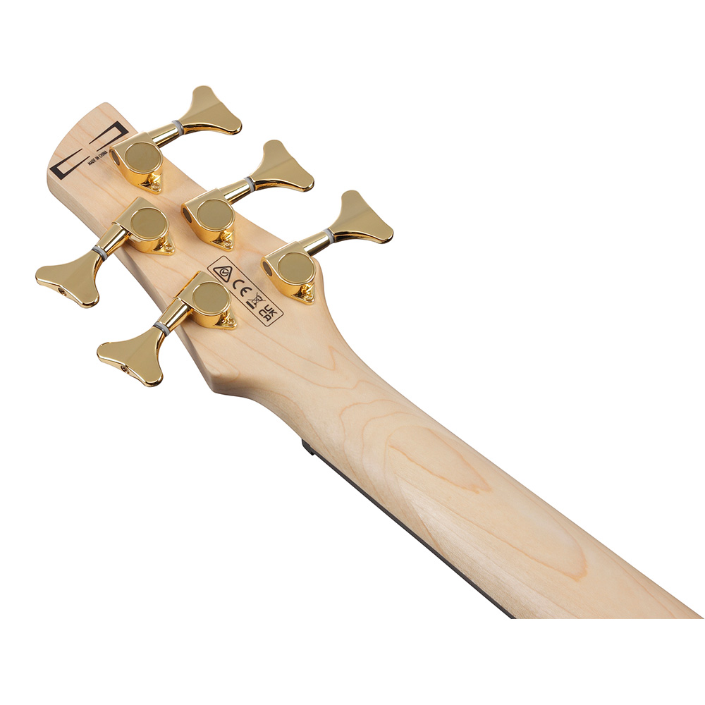 Ibanez Gio GSR205PC-TMU (Transparent Marine Burst