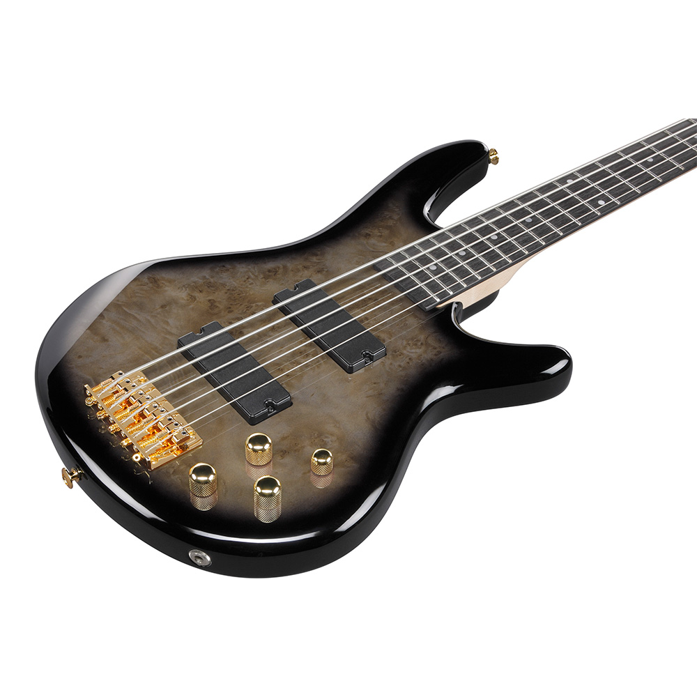 Ibanez Gio GSR205PC-TPB (Transparent Pale Black Burst