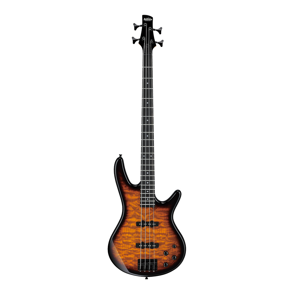 Ibanez Gio GSR280QA-TYS (Transparent Yellow Sunburst 