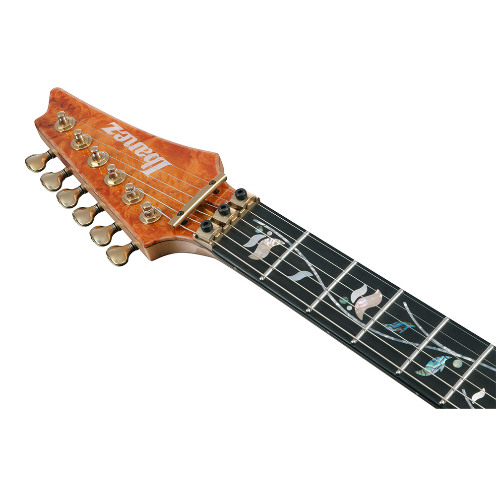 Ibanez RG VISIONS IV1RG｜ミュージックランドKEY