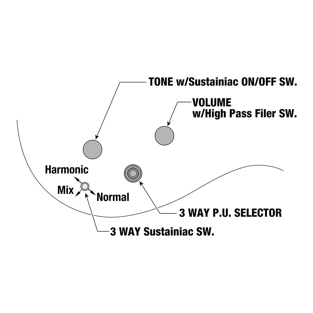 Ibanez JS1GD [Joe Satriani Signature Model]｜ミュージックランドKEY