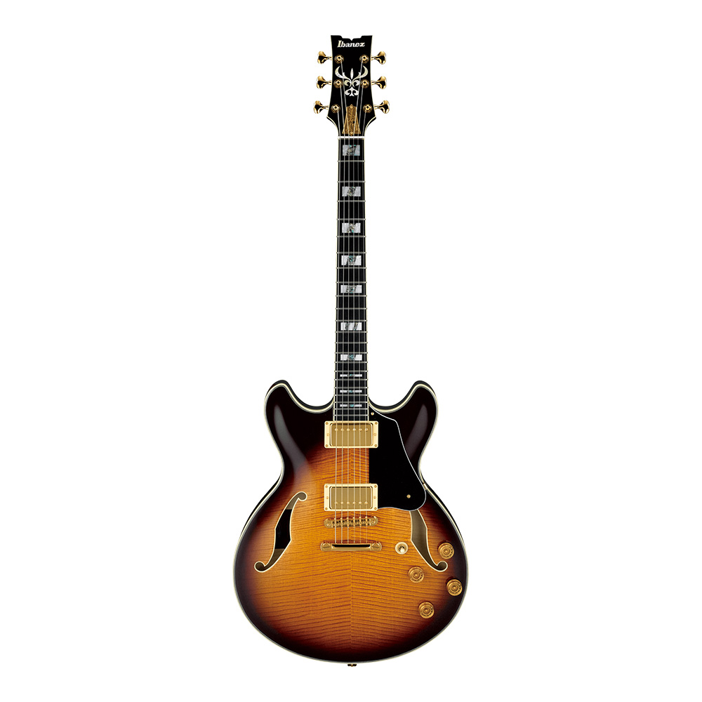 Ibanez SIGNATURE MODEL John Scofield JSM100-VT (Vintage  Sunburst)｜ミュージックランドKEY