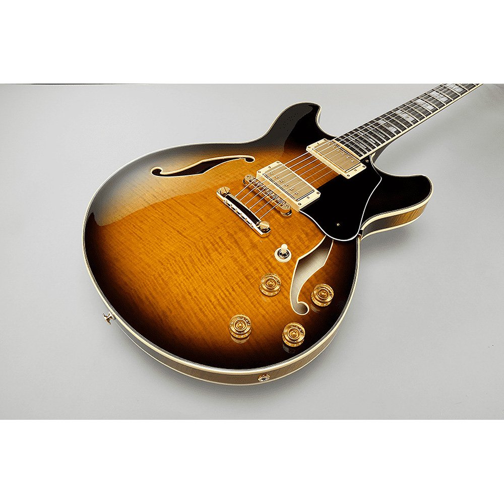 Ibanez SIGNATURE MODEL John Scofield JSM100-VT (Vintage  Sunburst)｜ミュージックランドKEY