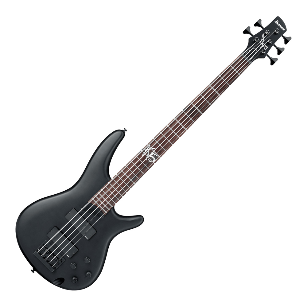 Ibanez SIGNATURE MODEL Fieldy K5-BKF (Black Flat)｜ミュージックランドKEY