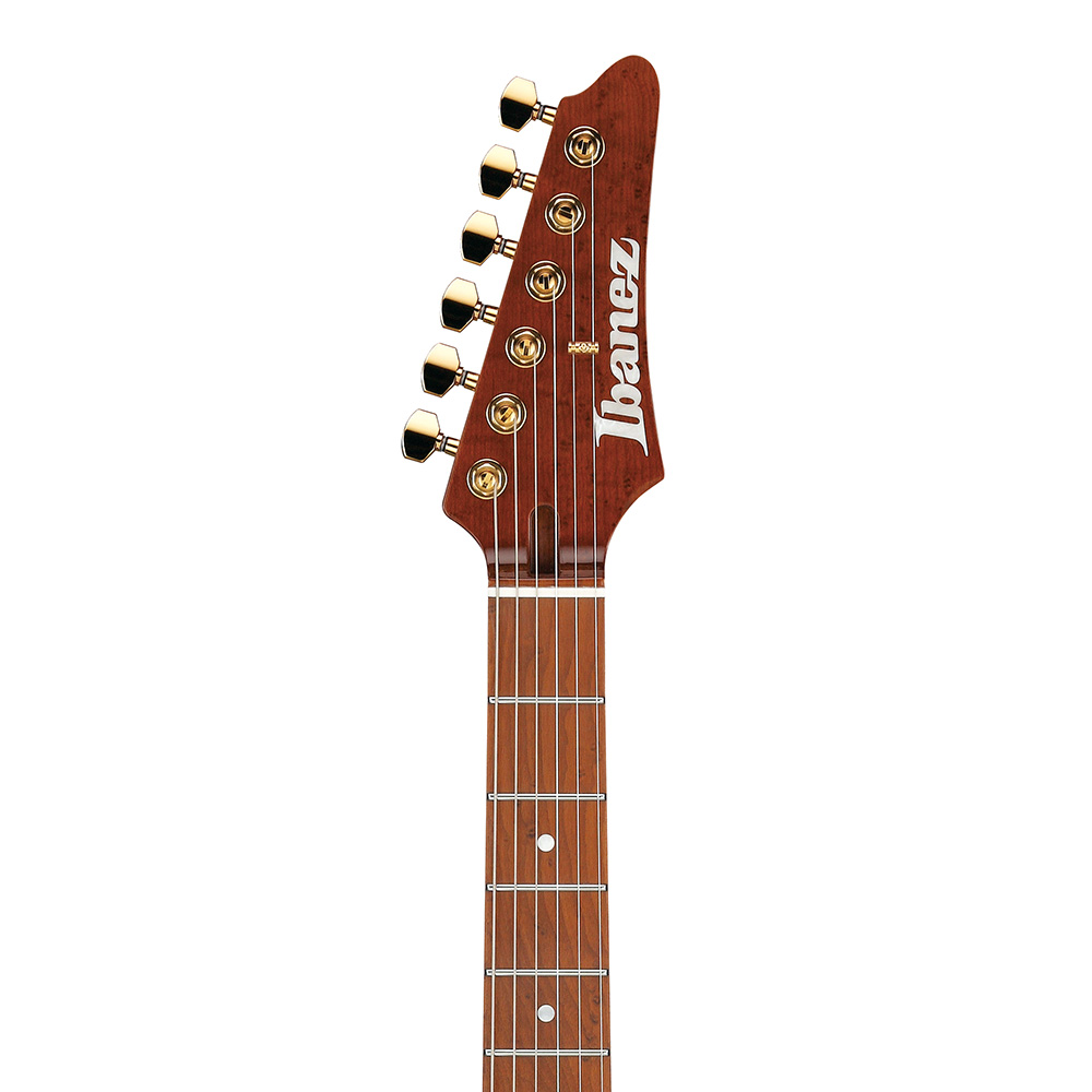 Amazon.com: Ibanez LB1 Lari Basilio Signature Electric