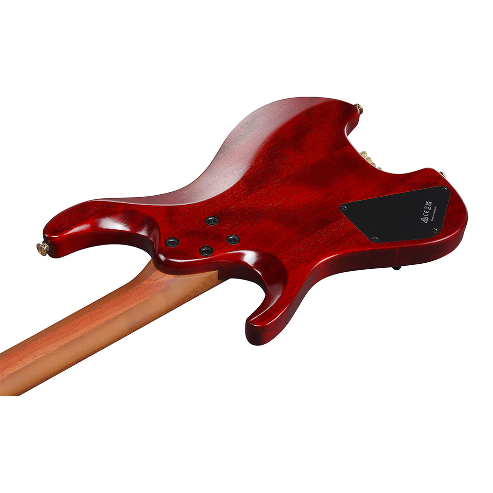 Ibanez SIGNATURE MODEL Manuel Gardner Fernandes MGFM10-OBL