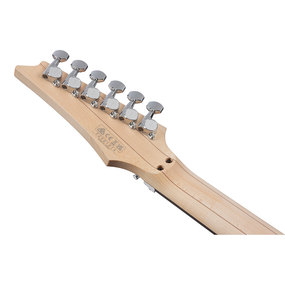 Ibanez RG550 steve vai 本人サイン入り