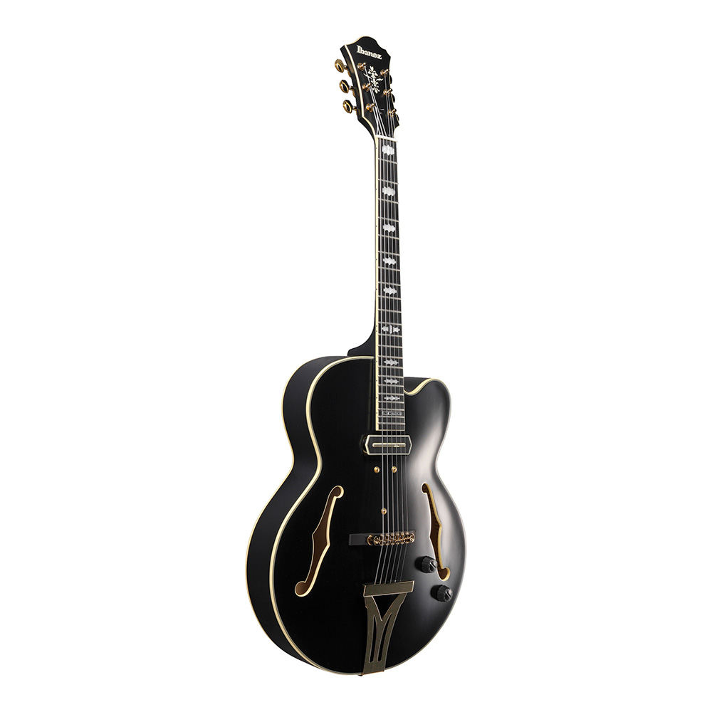 PAT METHENY,新品, 直筆サイン入り, パット・メセニー,FUSION Amazon.co.jp: 貴重 直筆サイン Pat Metheny パリ パット