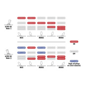 �J���[�o���G�[�V����