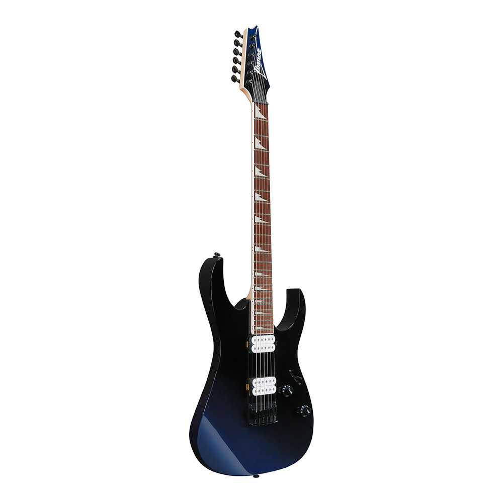 Ibanez RG Standard RG421DX-TWS (Twilight Shade)｜ミュージックランドKEY