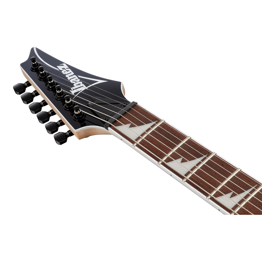 Ibanez RG Standard RG421DX-TWS (Twilight Shade)｜ミュージックランドKEY