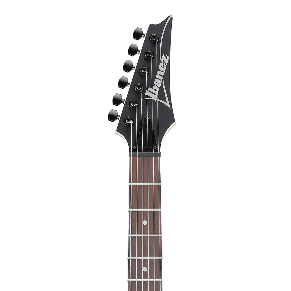 Ibanez RG Standard RG421EX-BKF (Black Flat)｜ミュージックランドKEY