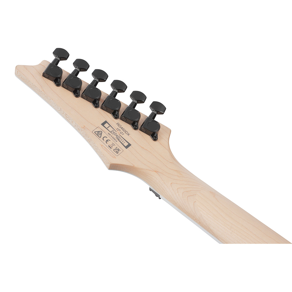 Ibanez アイバニーズ エレキギター RG460VFM-BBT