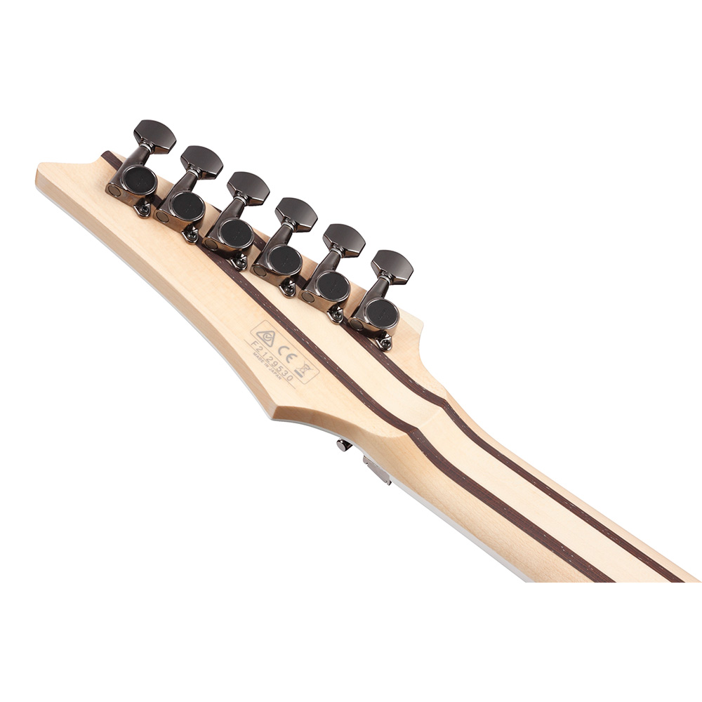 Ibanez RG Prestige RG5120M-PRT (Polar Lights)｜ミュージック