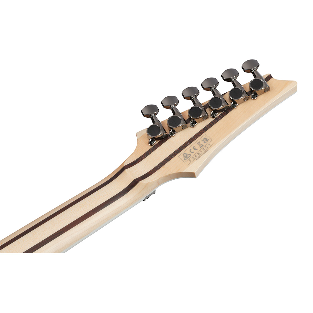 Ibanez RG Prestige RG5120ML-FCN (Frozen Ocean)｜ミュージックランドKEY