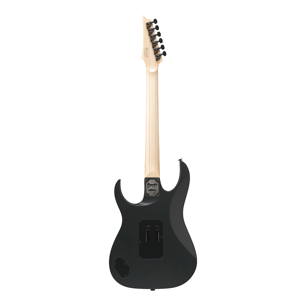 Ibanez RG Genesis Collection RG550-BKF (Black Flat)｜ミュージック
