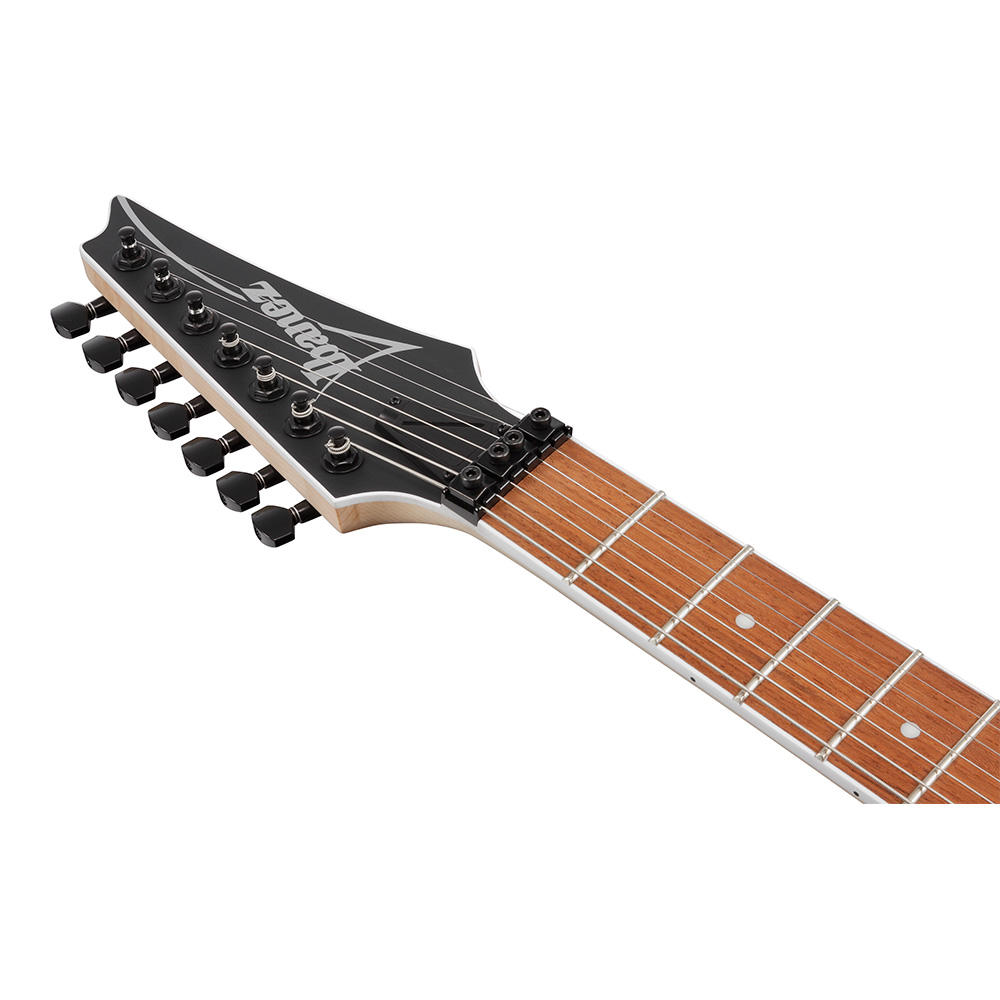Ibanez RG Standard RG7420EX-BKF (Black Flat)｜ミュージック