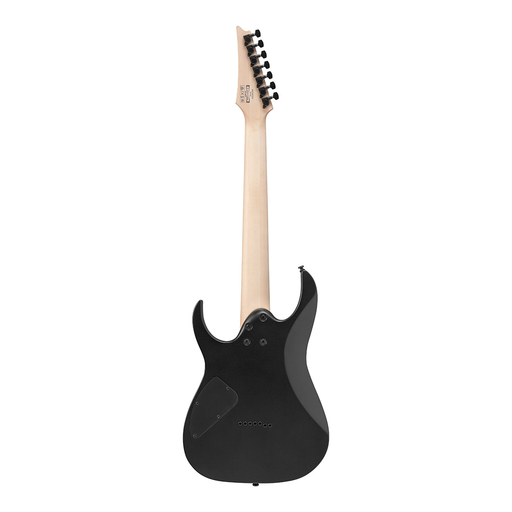 Ibanez RG Standard RG7421EX-BKF (Black Flat)｜ミュージック
