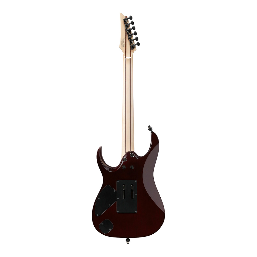 Ibanez RG j.custom Axe Design Lab RG8870-BSR (Brownish